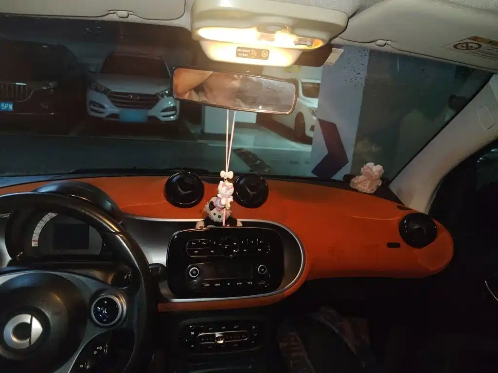 smart Smart Fortwo — миниатюра 13