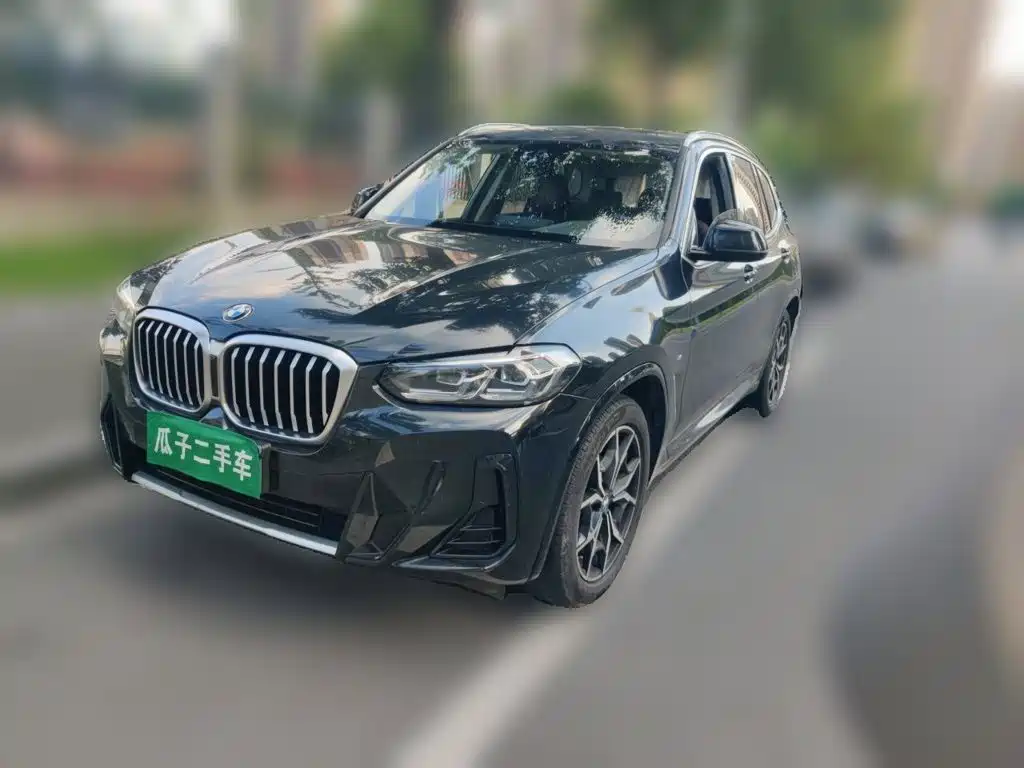 BMW X3 — миниатюра 2