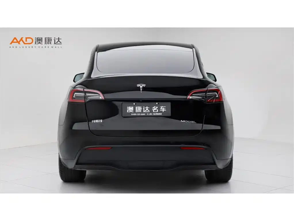 Tesla Model Y — миниатюра 4