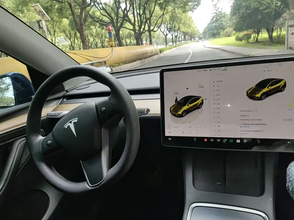 Tesla Model Y — миниатюра 10