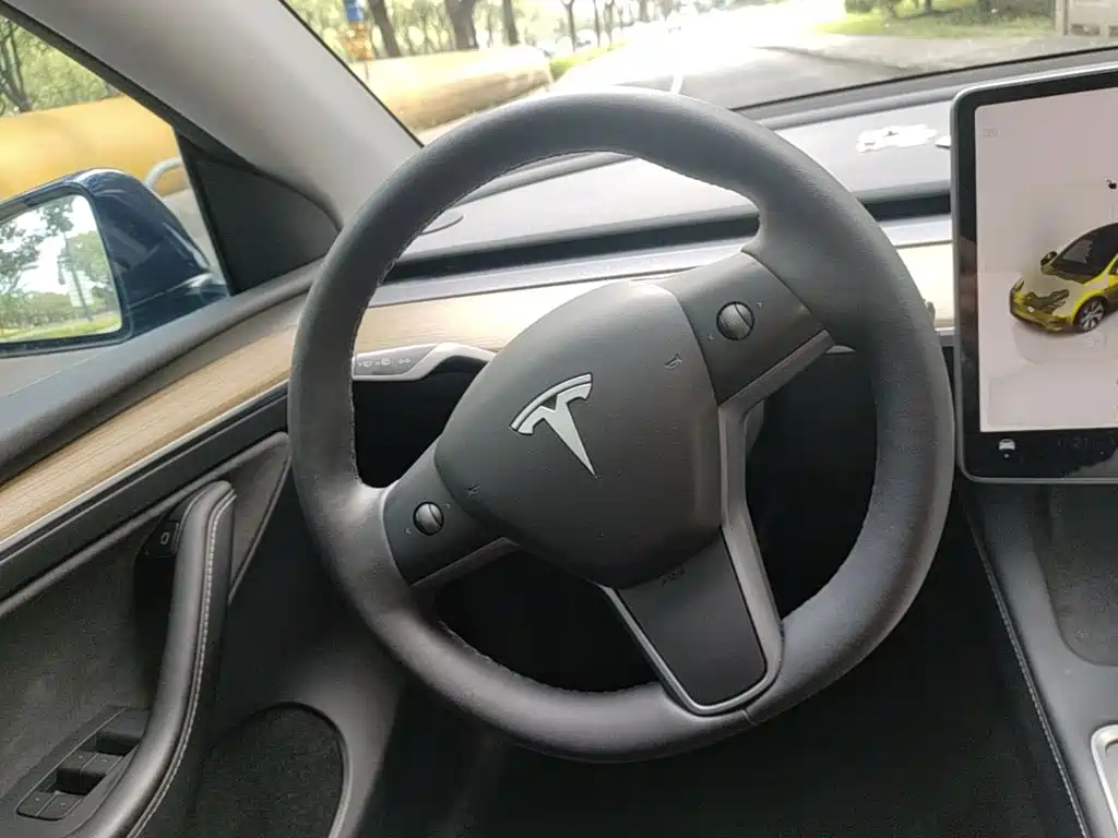 Tesla Model Y — миниатюра 11