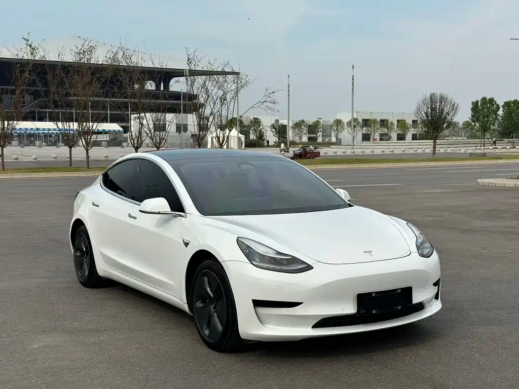 Tesla Model 3 — миниатюра 3