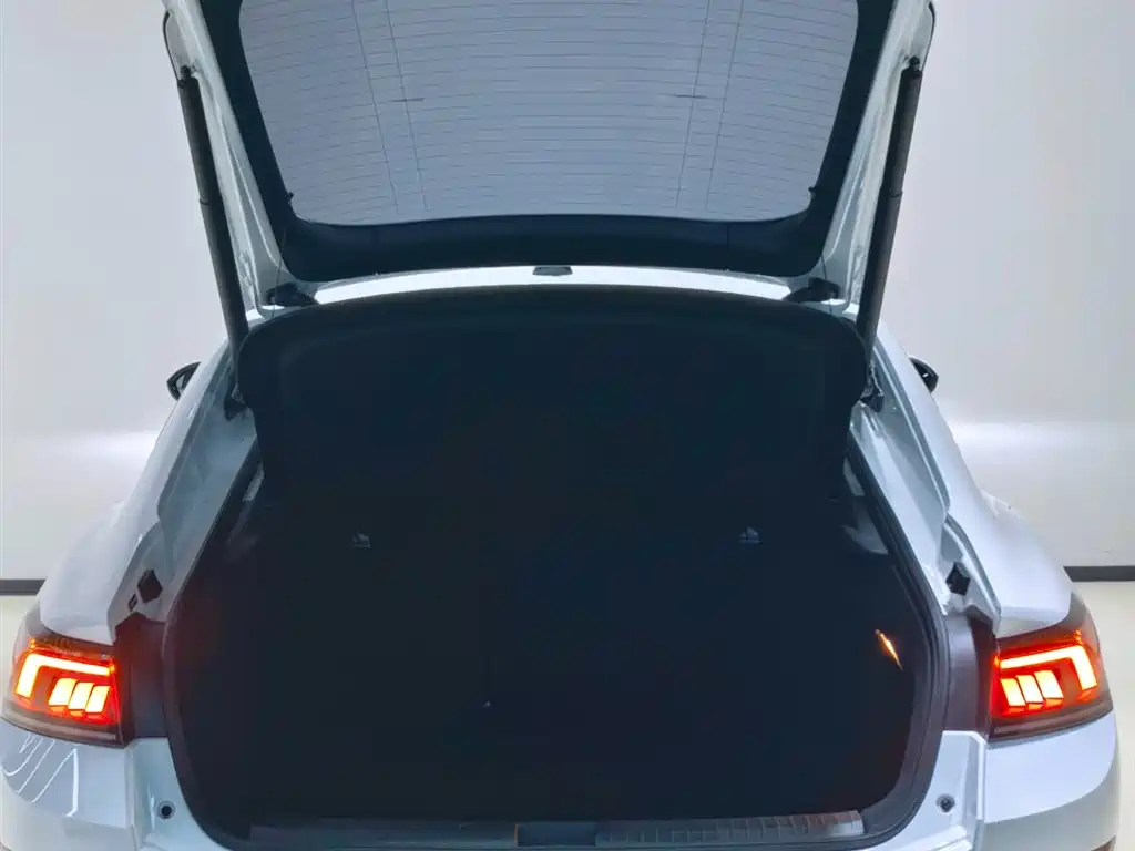 Volkswagen Lamando — миниатюра 7