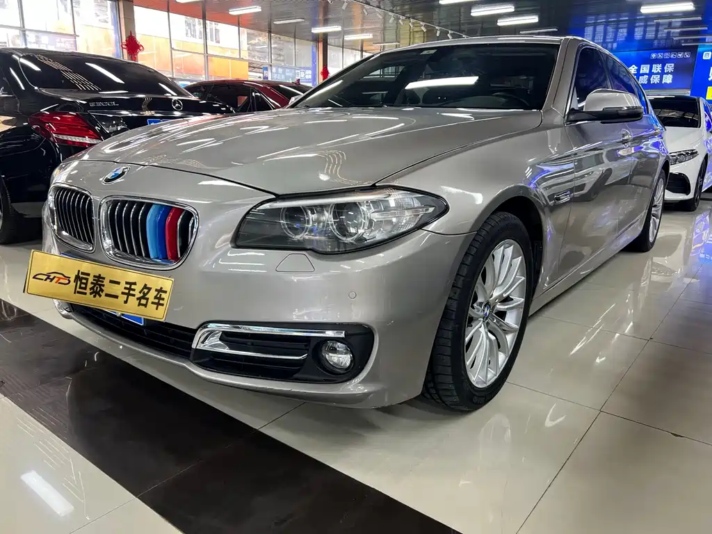 BMW 5 Series 520Li Elegant Type, фото 2