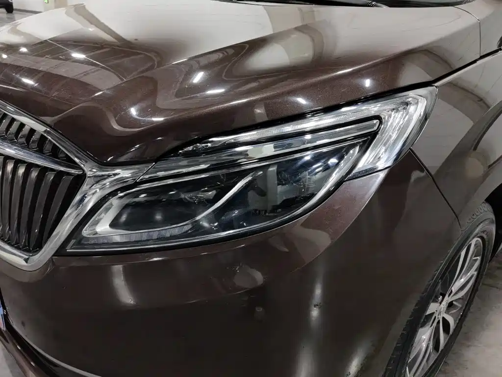 Buick GL8 — миниатюра 7