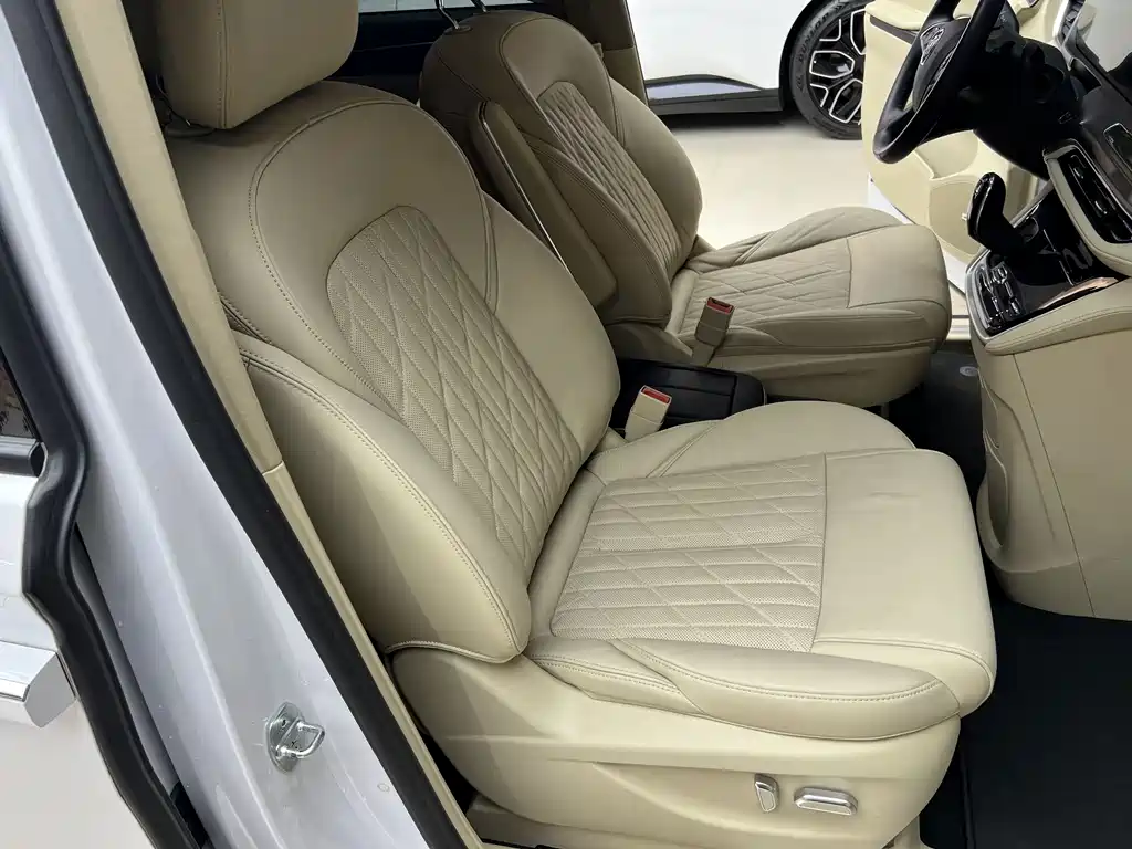 Buick GL8 — миниатюра 18