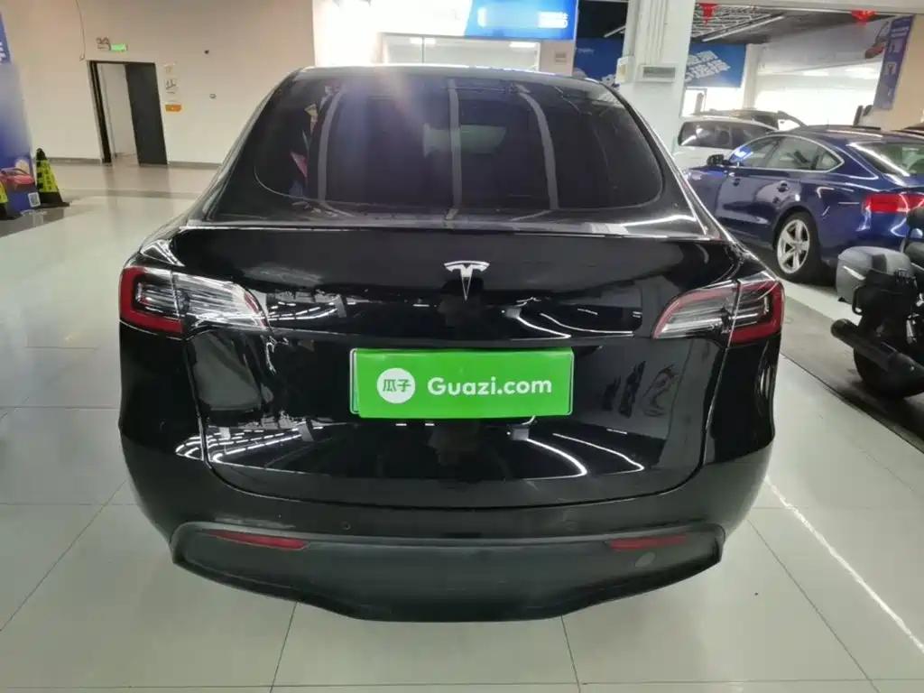 Tesla Model Y — миниатюра 6