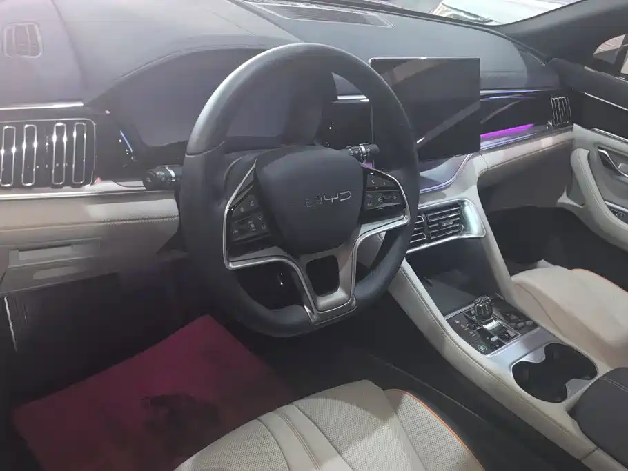 BYD PLUS New Energy — миниатюра 12