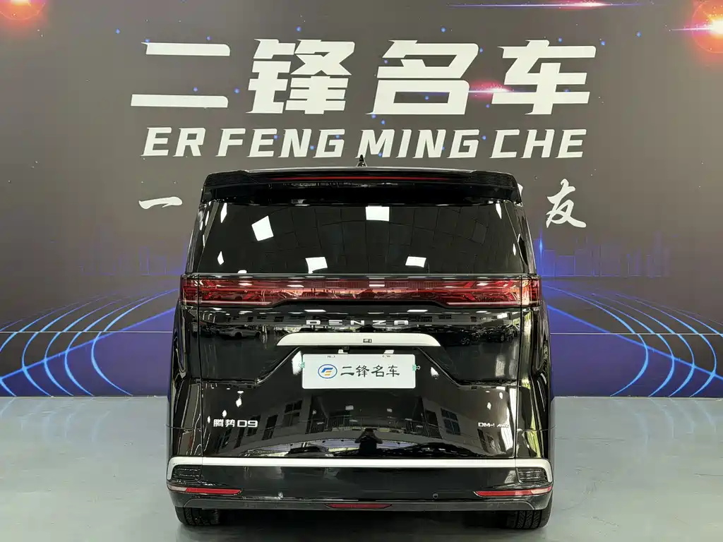 Denza Denza D9 — миниатюра 5