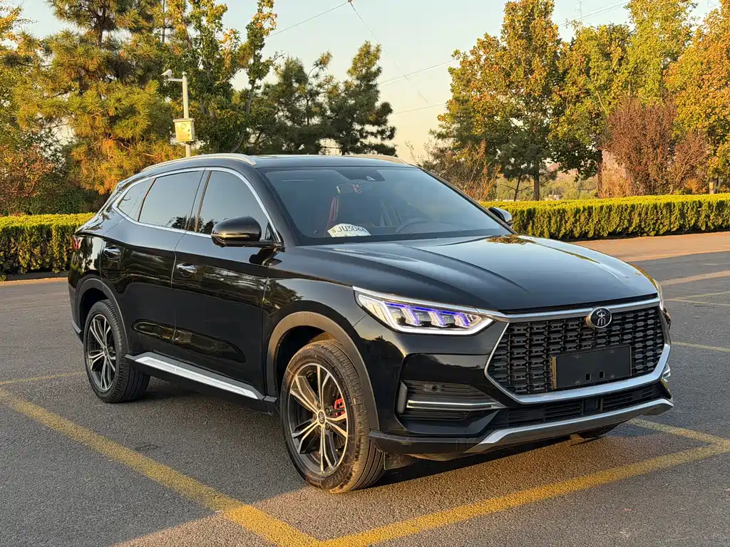 BYD PLUS — миниатюра 2