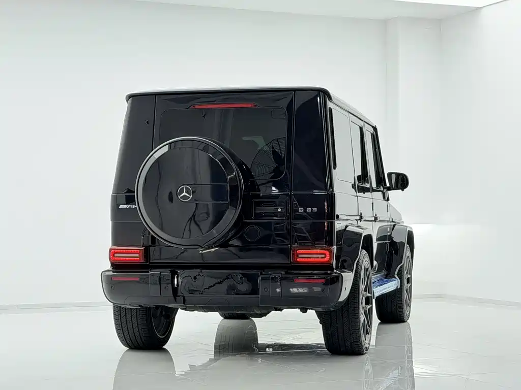 Mercedes-Benz G-Class G 2010 G 500