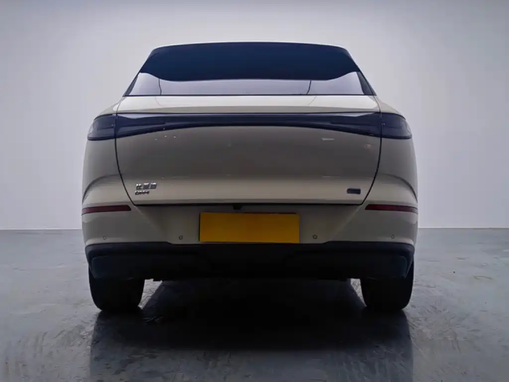 BYD Haisi 06 — миниатюра 5