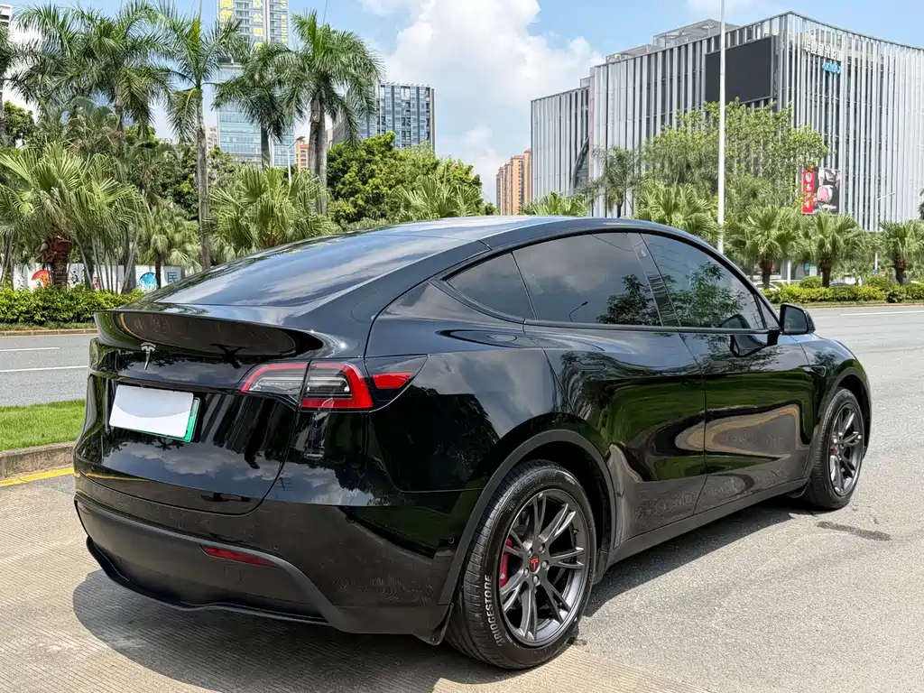 Tesla Model Y — миниатюра 4