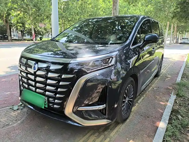 2024 Denza D9