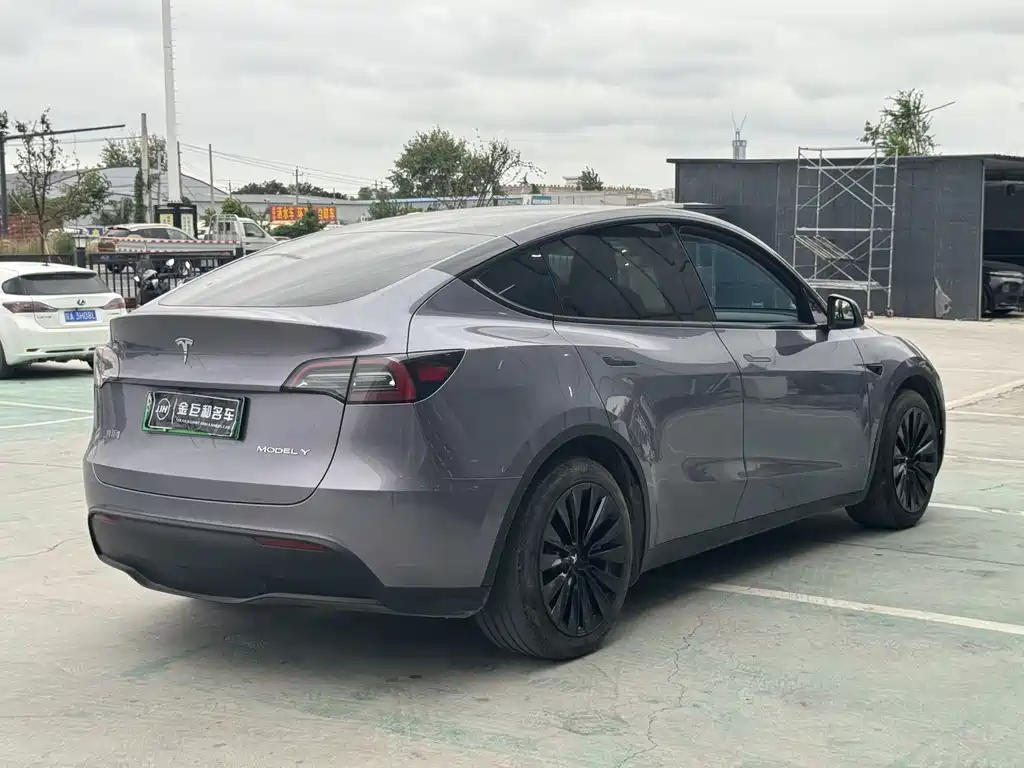 Tesla Model Y — миниатюра 10