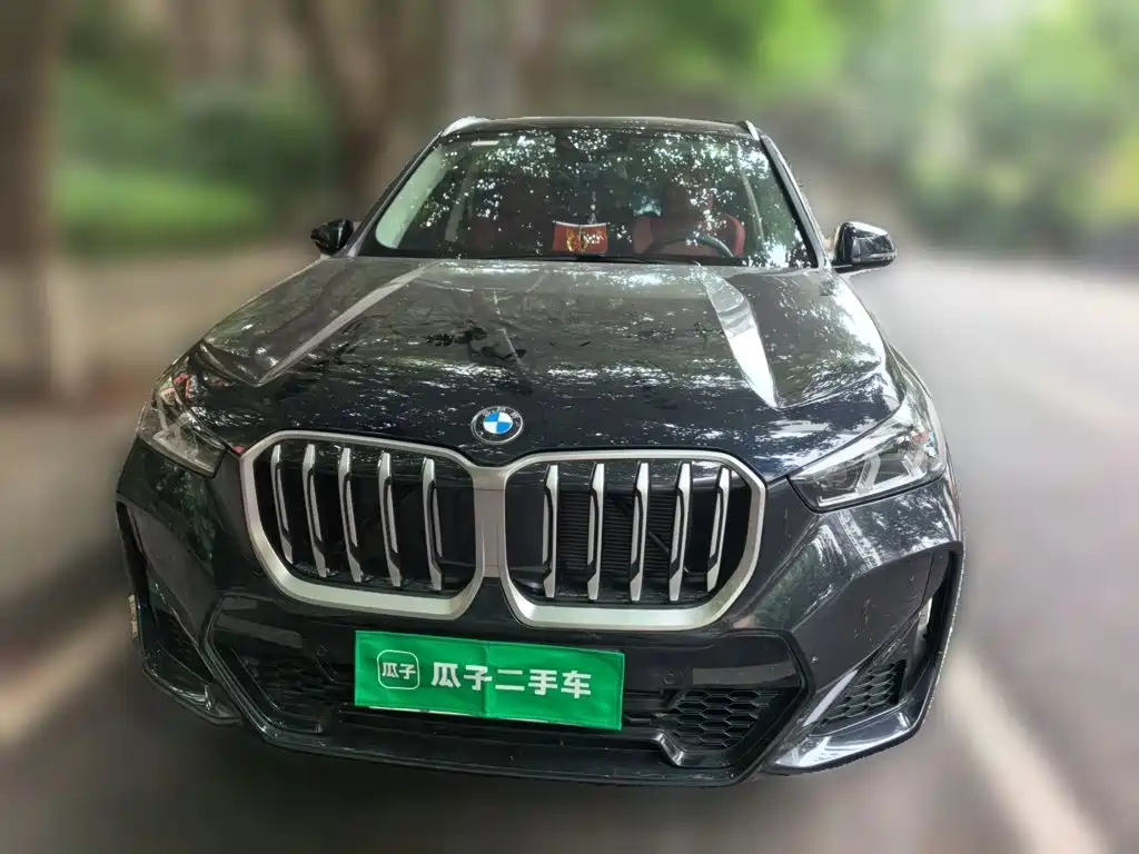 BMW X1 — миниатюра 2