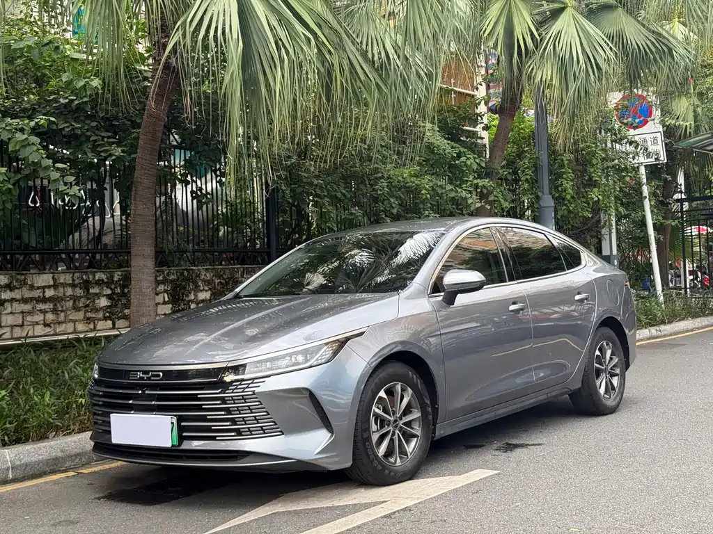BYD Destroyer 05
