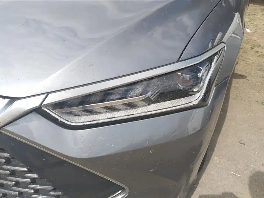 BYD Qin Plus PLUS 2024 DM-i 55KM Lead