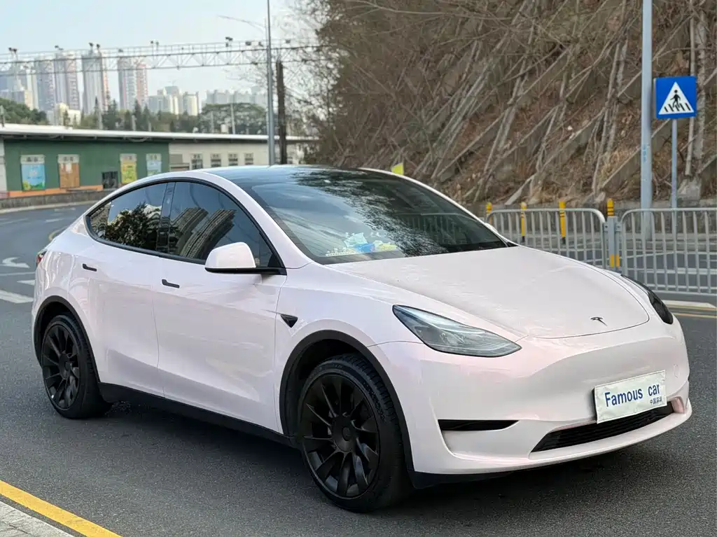TESLA MODEL Y