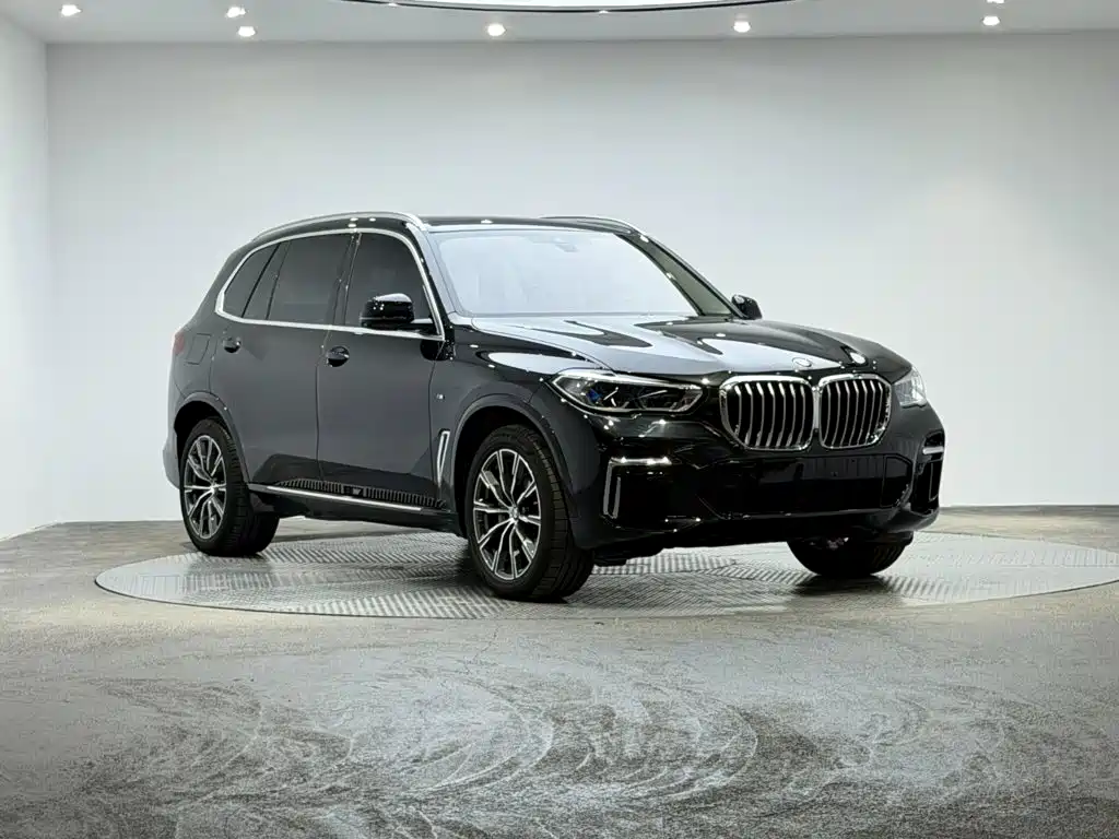 BMW X5 — миниатюра 3