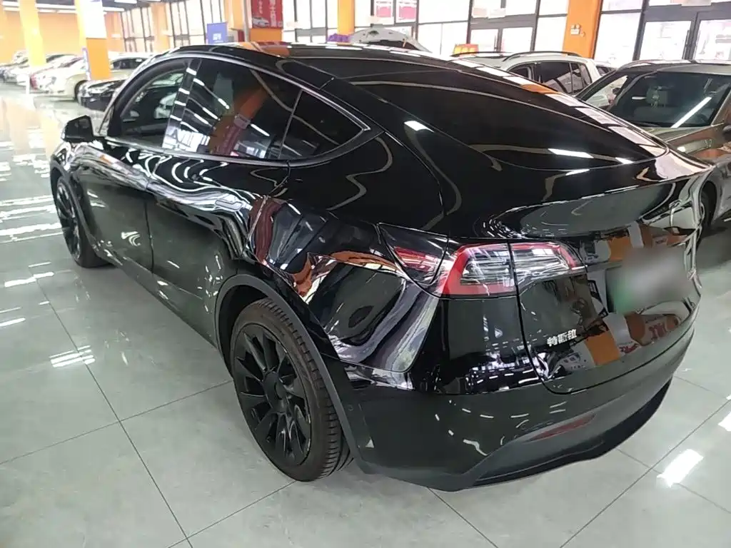 Tesla Model Y — миниатюра 5
