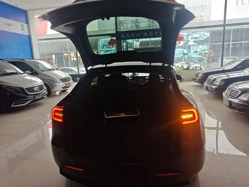 Tesla Model Y — миниатюра 19
