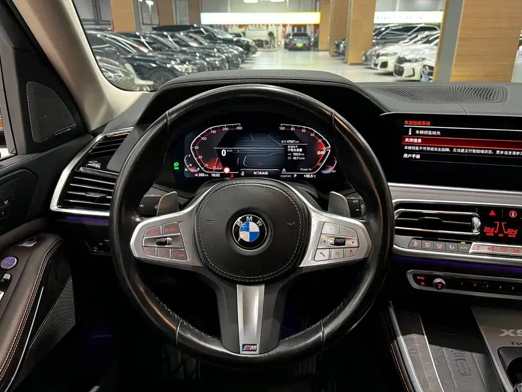 BMW X5 — миниатюра 7