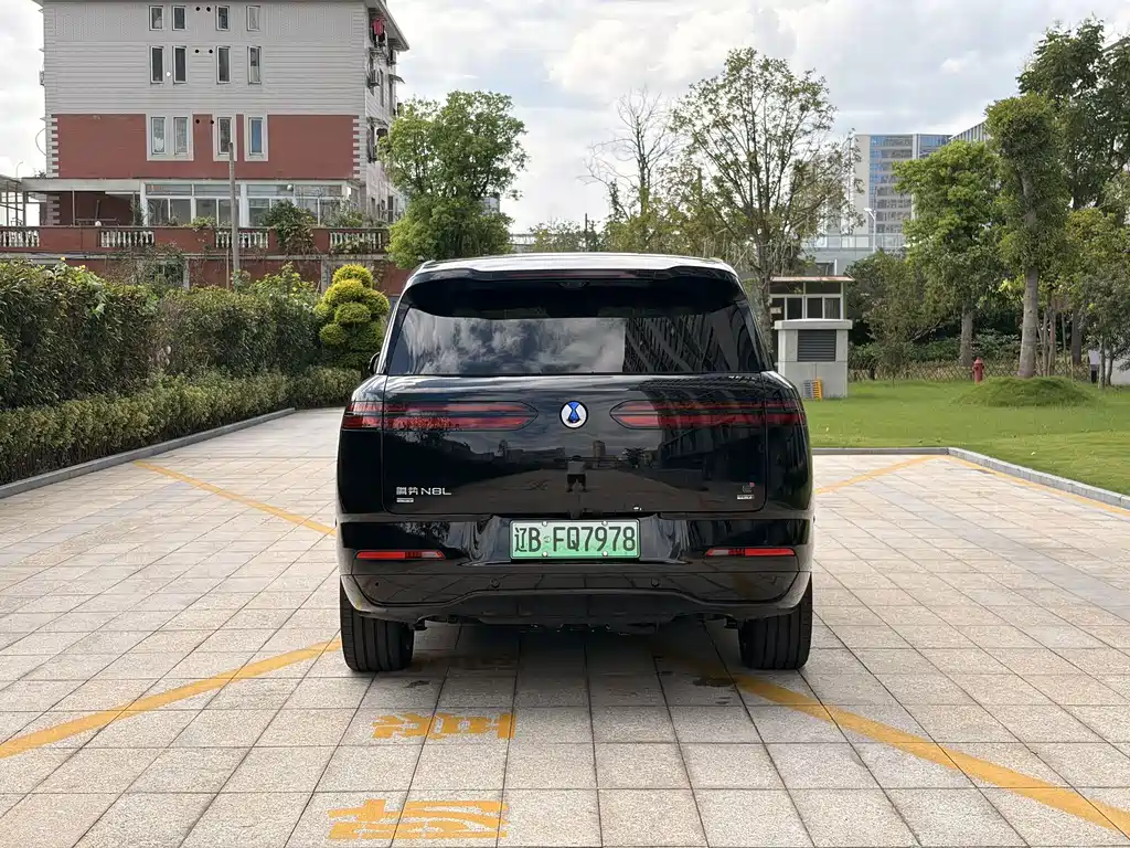 Denza Zoom N8L — миниатюра 17