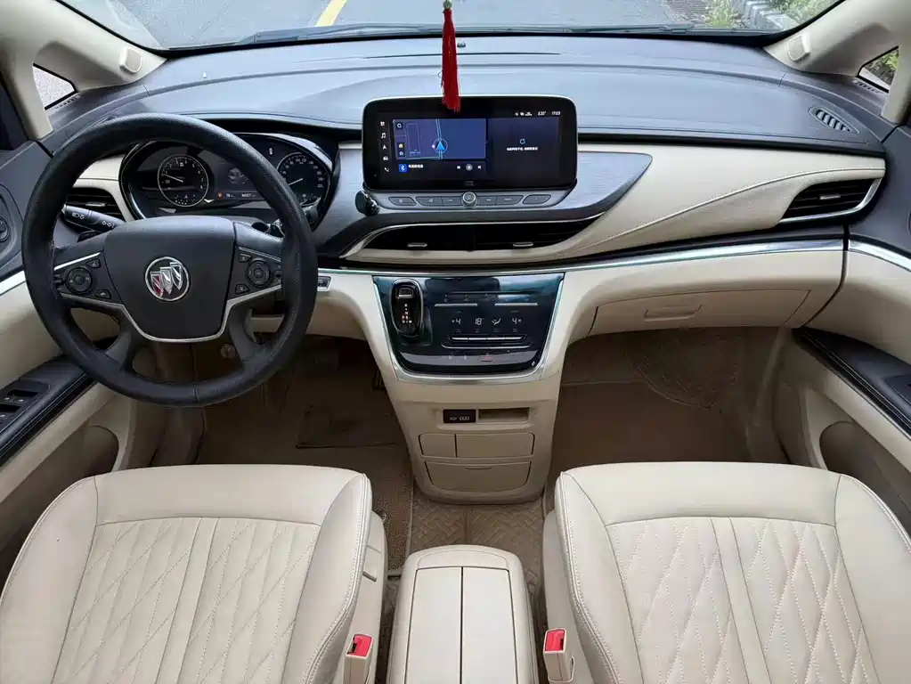 Buick GL8 — миниатюра 8