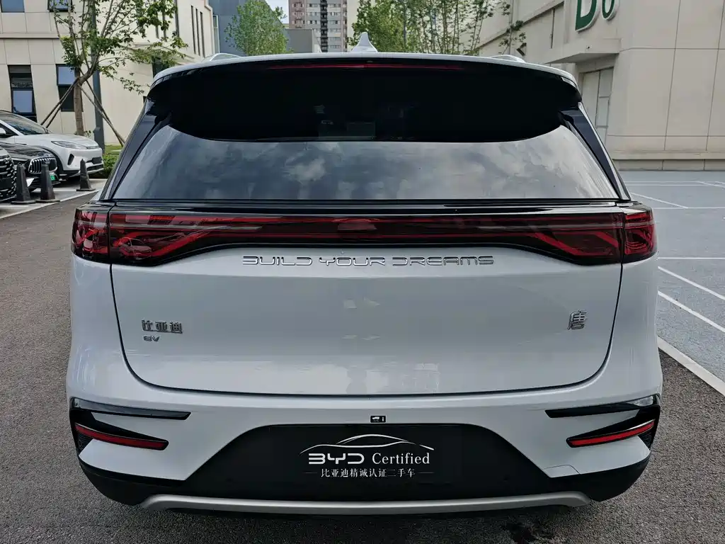 BYD Tang New Energy — миниатюра 10