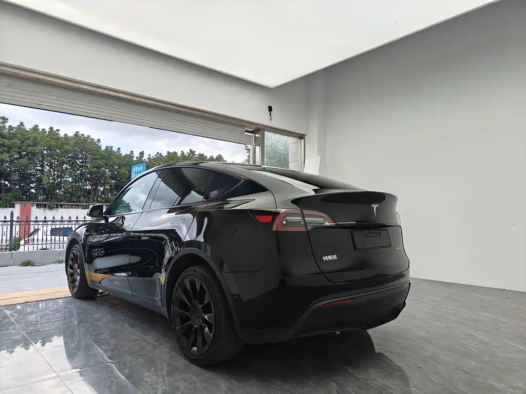 Tesla Model Y — миниатюра 6