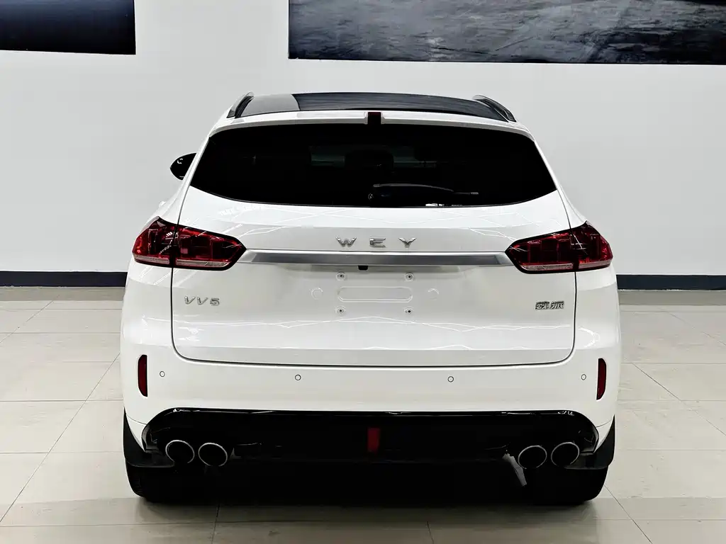 WEI PAI WEI BRAND VV5