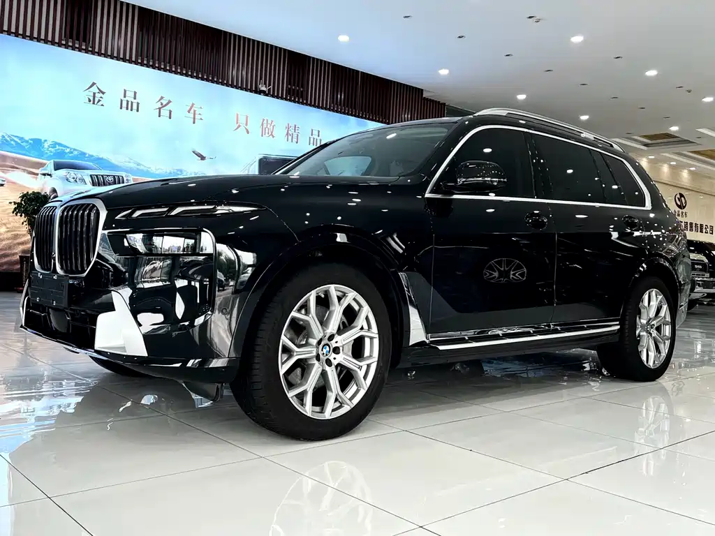 BMW X7 — миниатюра 2