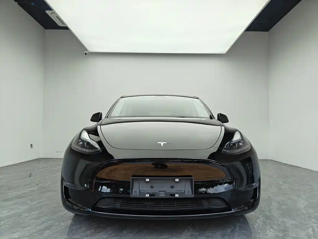 Tesla Model Y — миниатюра 2