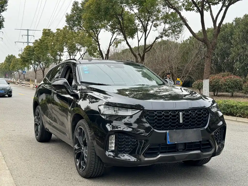 WEI PAI WEI BRAND VV7