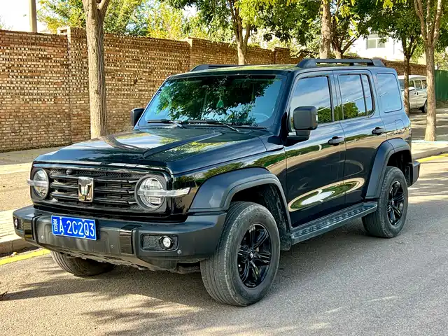 Tank 300