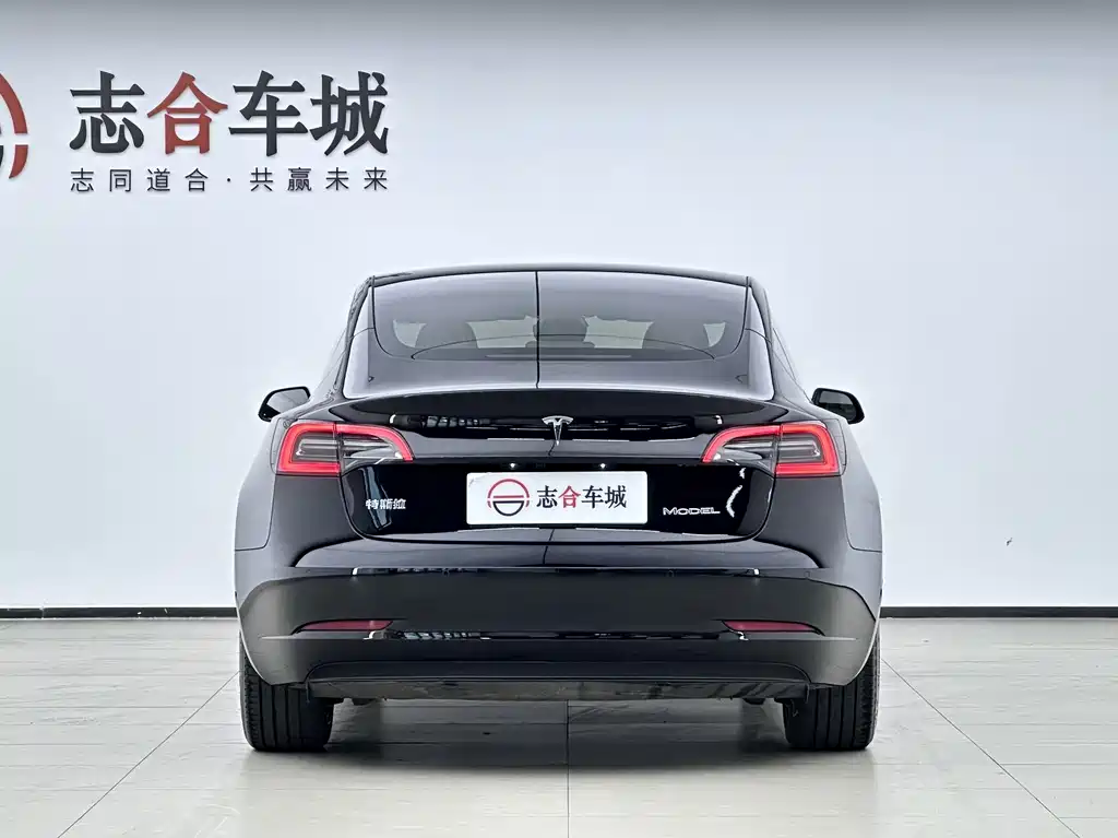 Tesla Model 3 — миниатюра 4