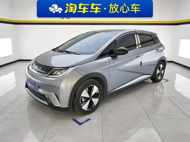 2023 BYD Dolphin