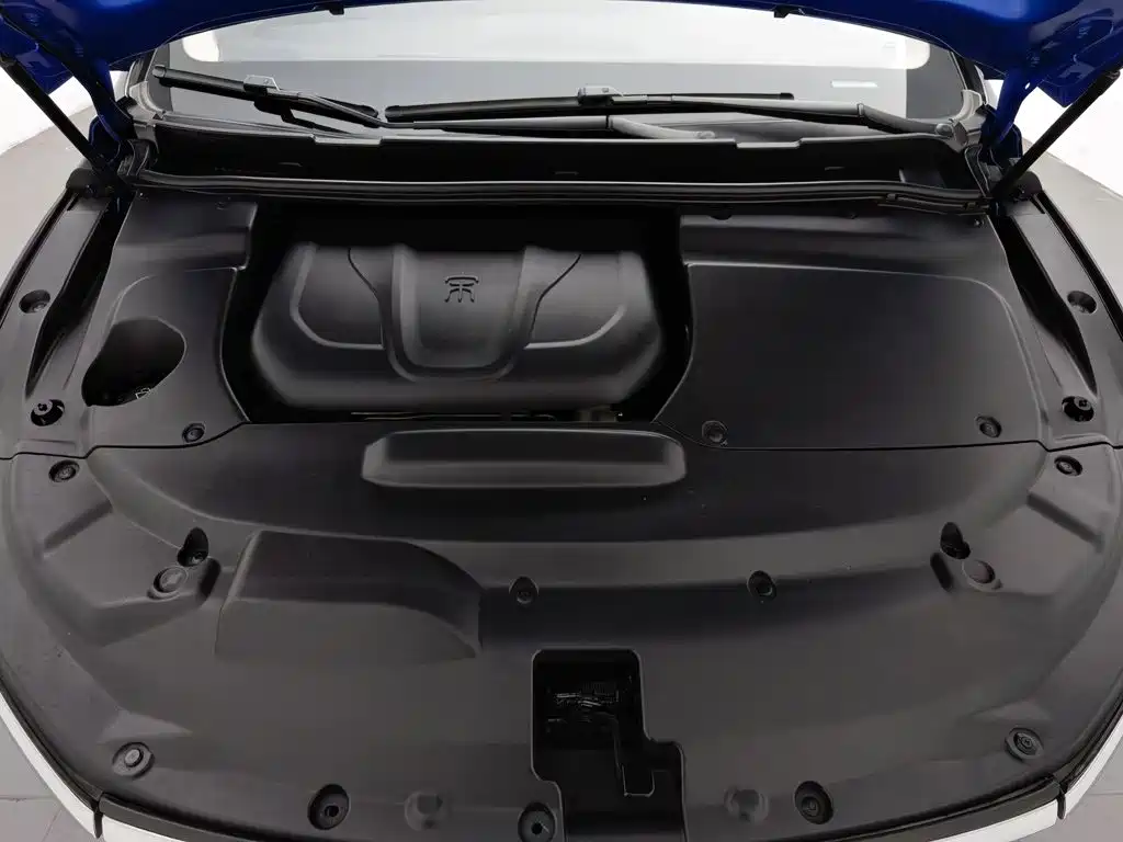 BYD MAX — миниатюра 6