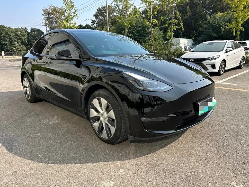 Tesla Model Y — миниатюра 3
