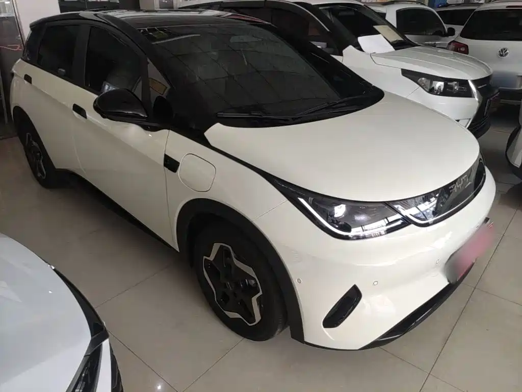 BYD Dolphin 2025 Smart Drive 420km Freedom