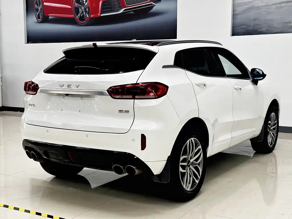 WEI PAI WEI BRAND VV5