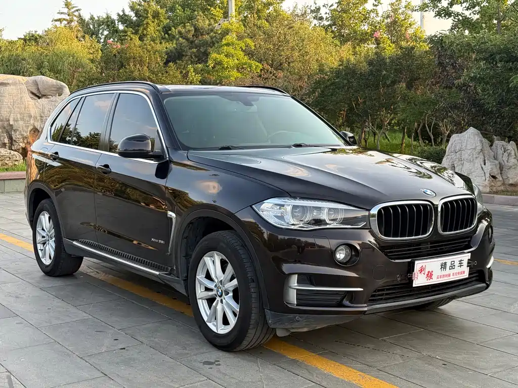 BMW X5 2014 xDrive35i Lead