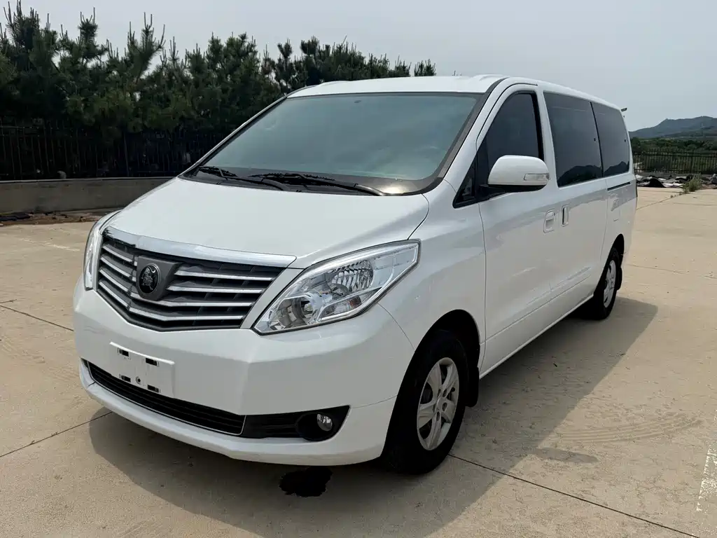 Купить Fengxing Lingzhi PLUS