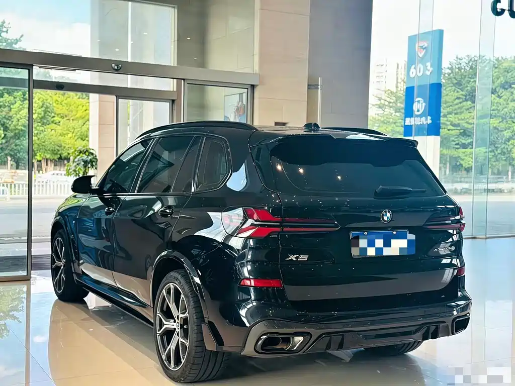 BMW X5 — миниатюра 7