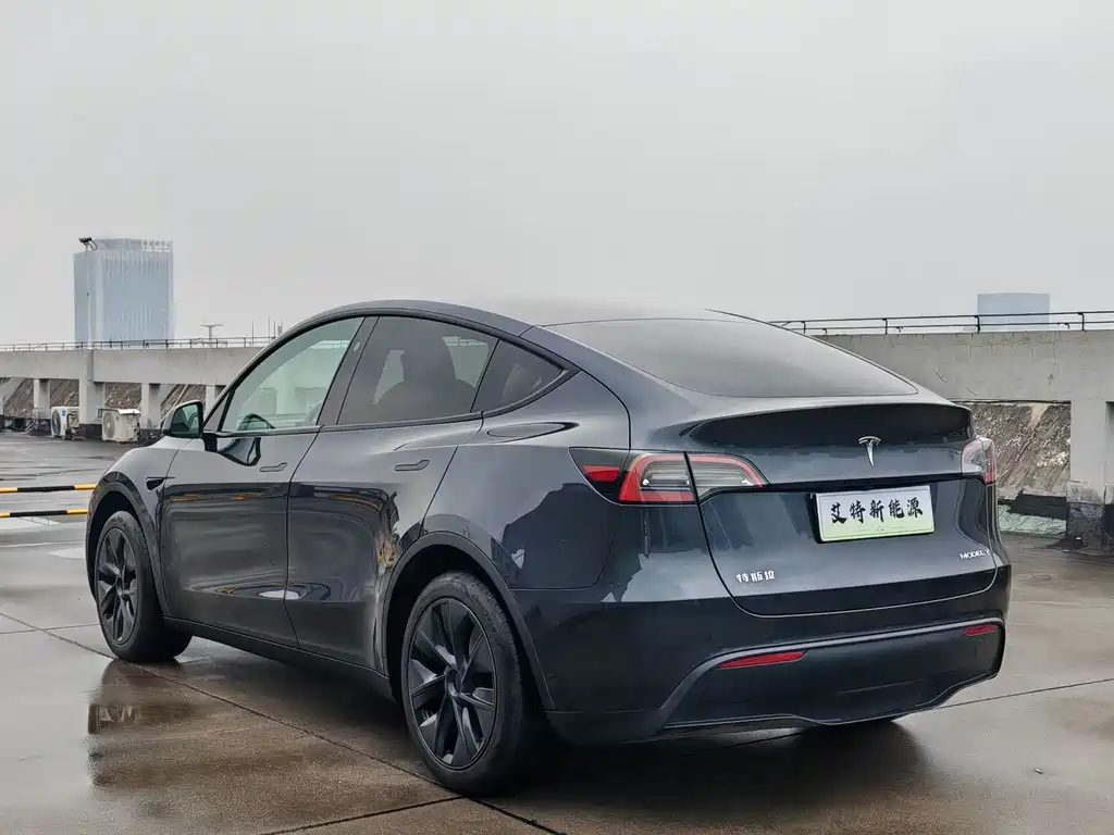 Tesla Model Y — миниатюра 5