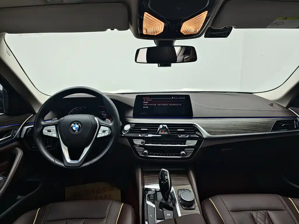 BMW 5 Series 5 2020 530Li Lead Luxury