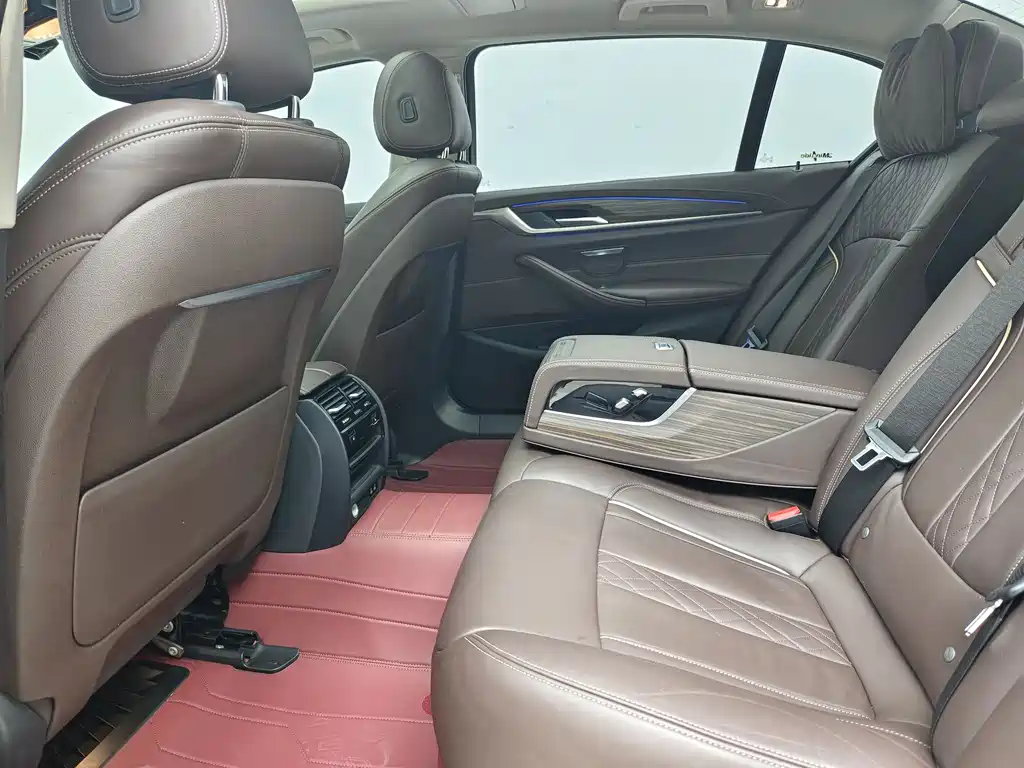 BMW 5 Series 5 2020 530Li Lead Luxury