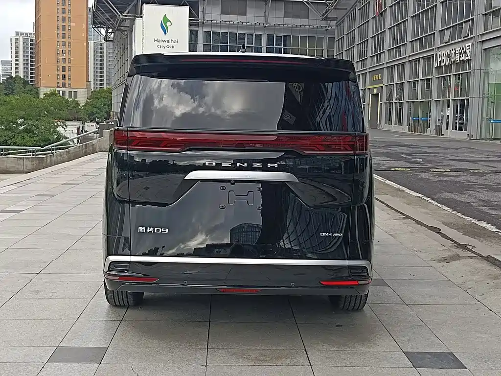 Denza Denza D9 — миниатюра 7