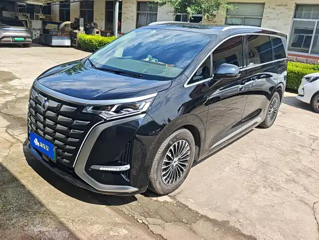 2023 Denza D9